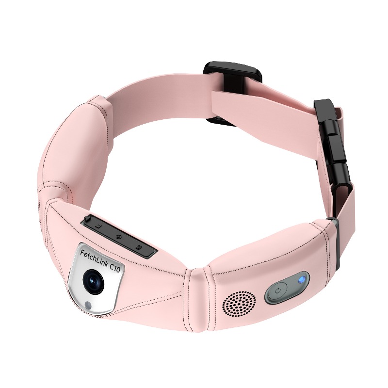 Pet Gps Tracker Collar - Collier intelligent tout-en-un avec suivi GPS,