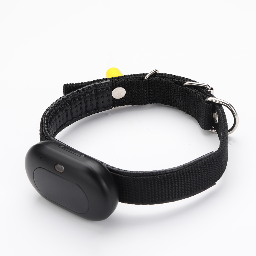 Pet Gps Tracker Collar - Collier de suivi GPS pour animaux