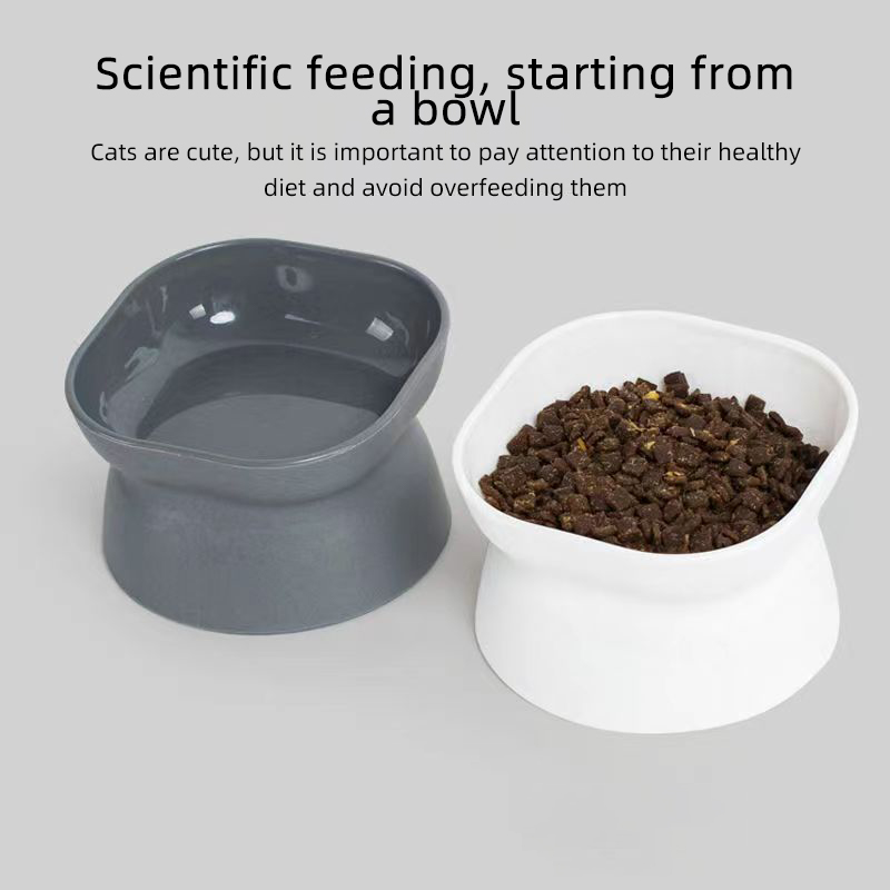 Slow Feeder Dog Bowl - Bol de nourriture pour chat/chien à