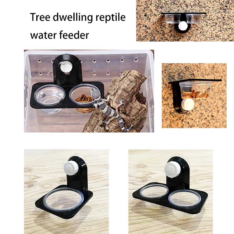 Pet Supplies Is Food - Filles d'alimentation en terrarium pour animaux