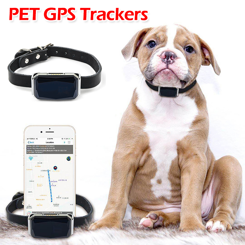 Pet Gps Tracker Collar - Traceur GPS pour animaux de compagnie,