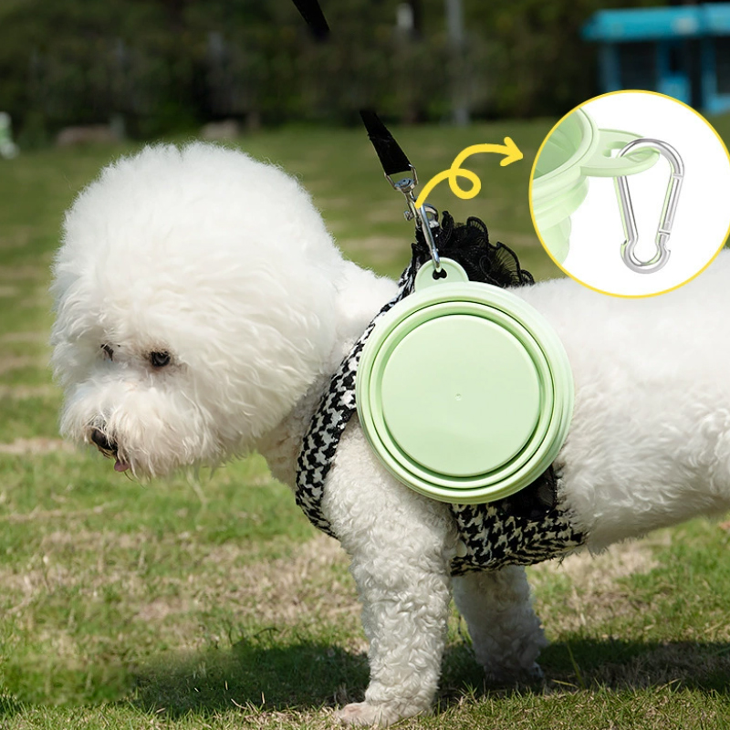Couleur fournitures pour anima - Pet Supplies Is Food avis et prix
