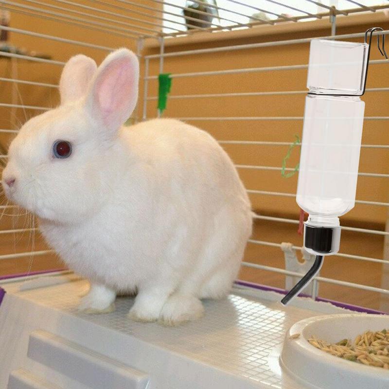 Bouteille d'eau en acier inoxy - Pet Supplies Is Food avis et prix