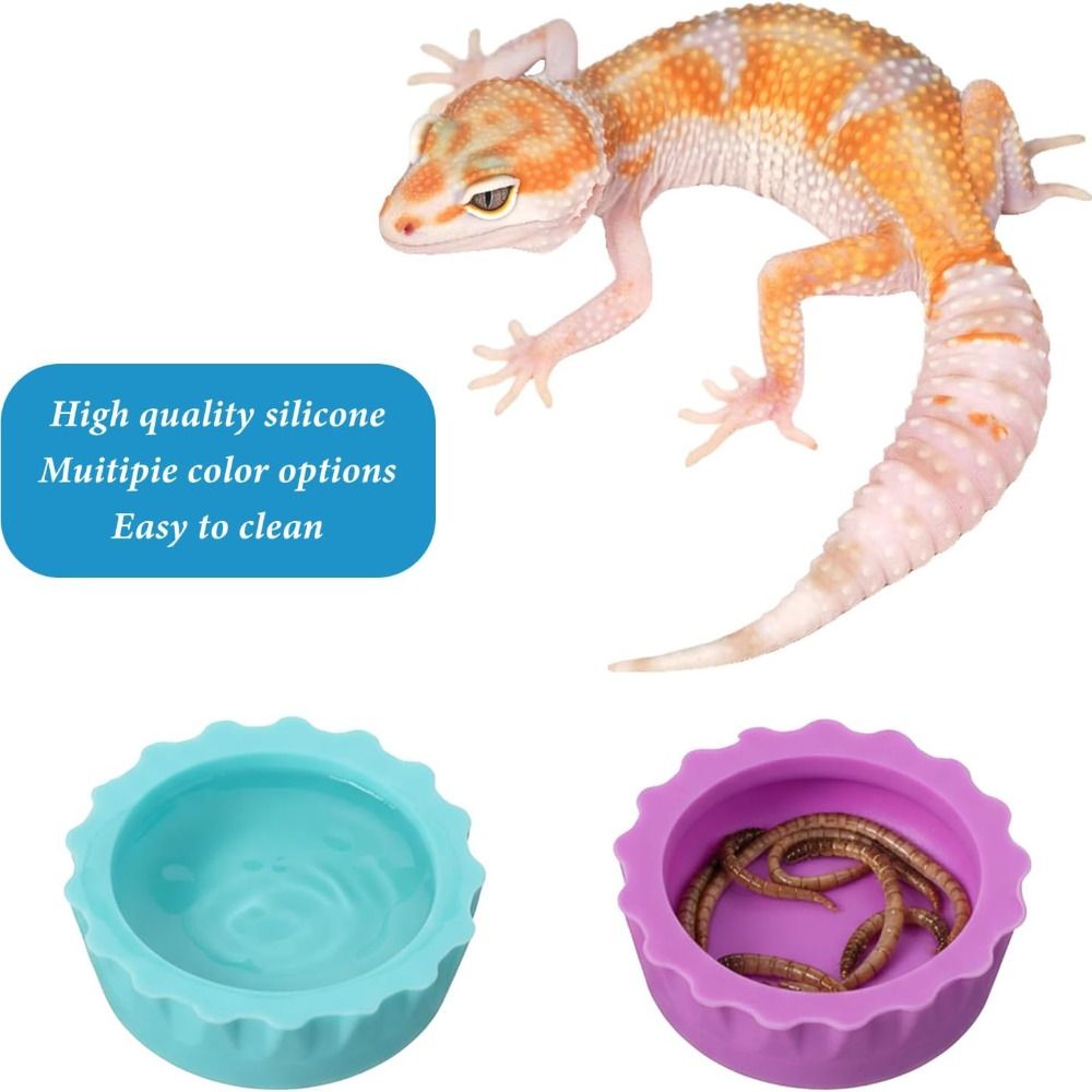 Bol de nourriture en Silicone  - Pet Supplies Is Food avis et prix