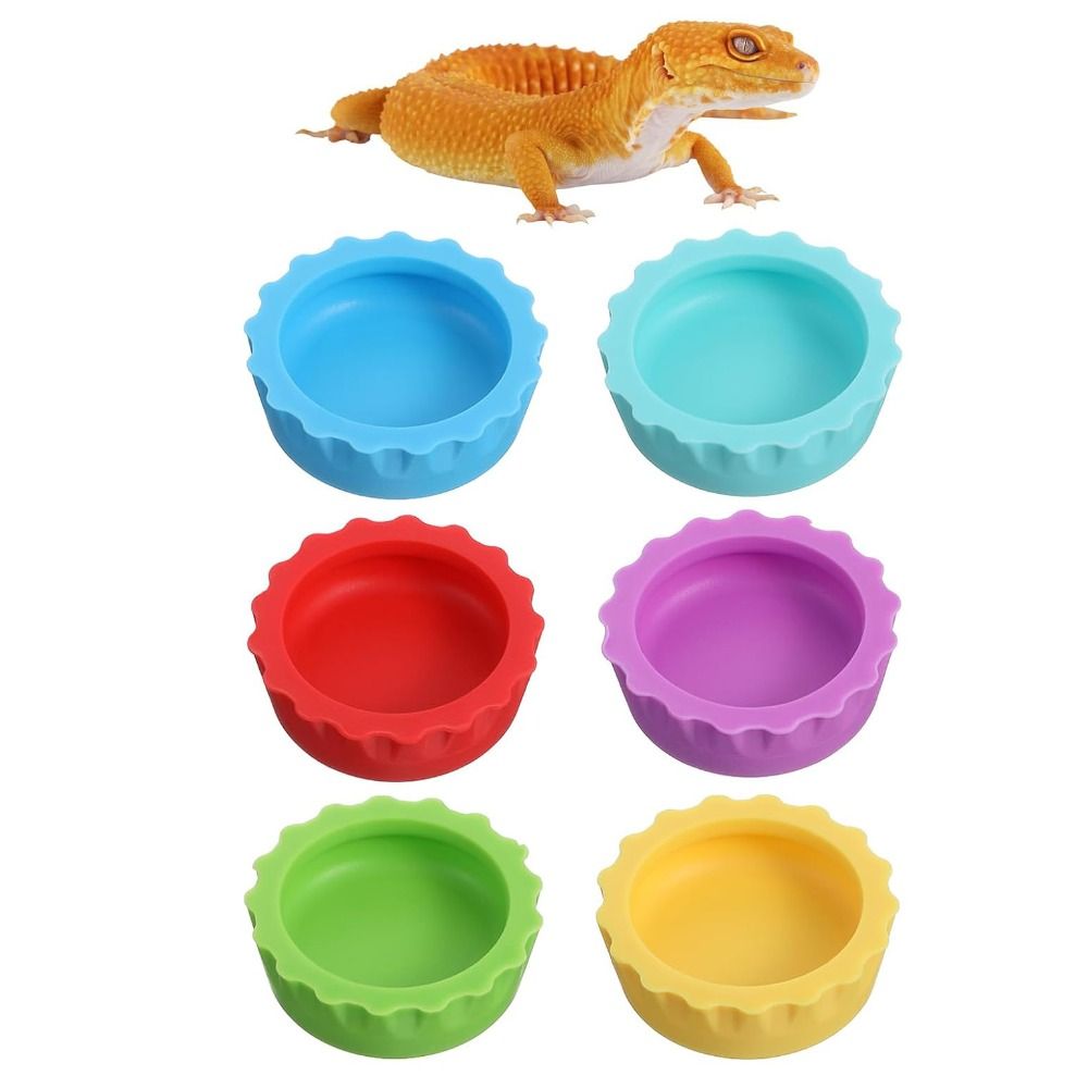 Bol de nourriture en Silicone  - Pet Supplies Is Food avis et prix