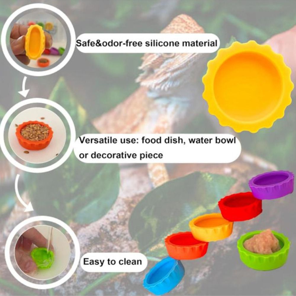 Bol de nourriture en Silicone  - Pet Supplies Is Food avis et prix