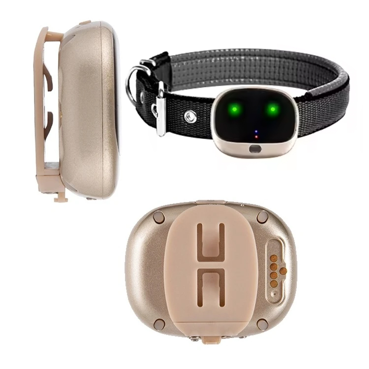 4G étanche Gps Tracker animal  - Pet Gps Tracker Collar avis et prix