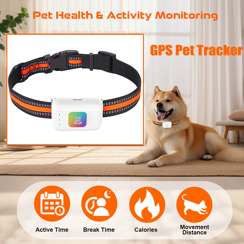 Dispositif de suivi GPS AGPS p - Pet Gps Tracker Collar avis et prix