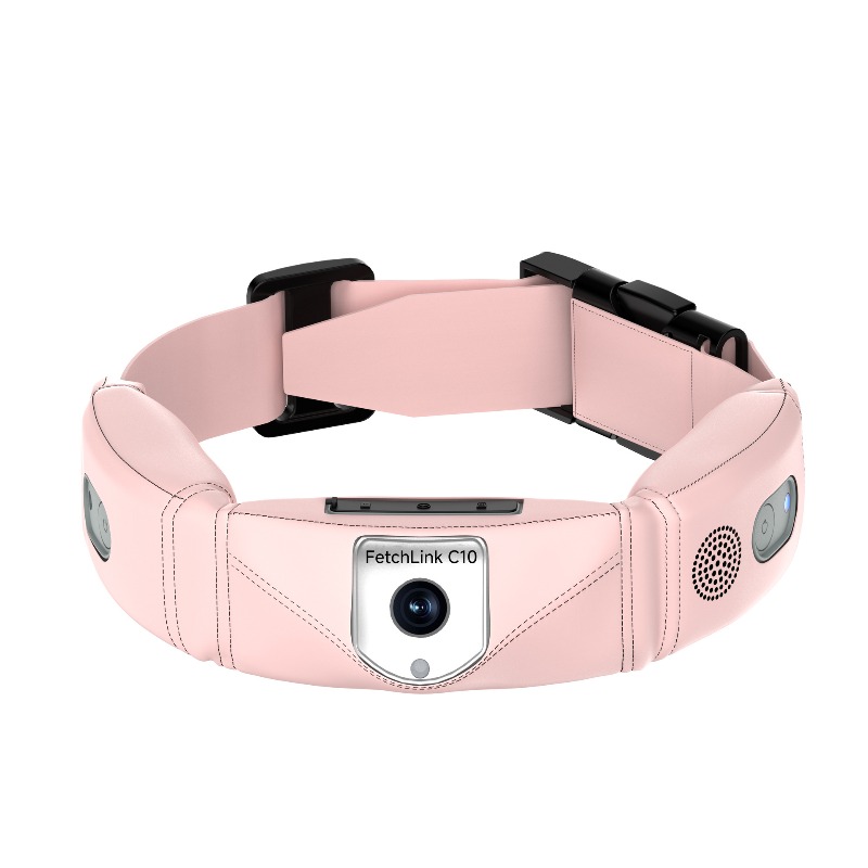 Collier intelligent tout-en-un - Pet Gps Tracker Collar avis et prix