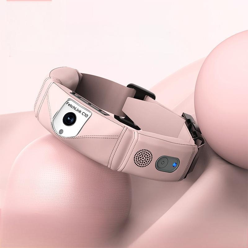 Collier intelligent tout-en-un - Pet Gps Tracker Collar avis et prix