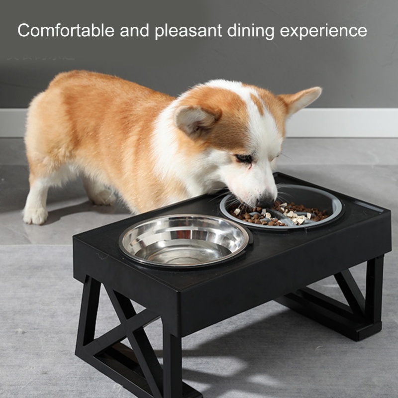 Bol pour chien à mangeoire len - Slow Feeder Dog Bowl avis et prix