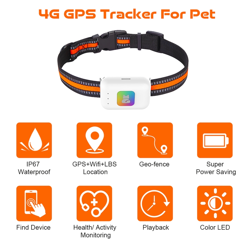 Traqueur GPS pour animaux de c - Pet Gps Tracker Collar avis et prix