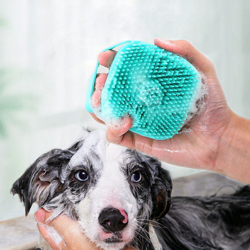 Brosse de massage en silicone  - Pet Supplies Application avis et prix