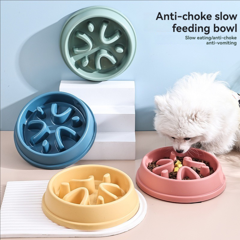 Fournitures pour animaux de co - Slow Feeder Dog Bowl avis et prix