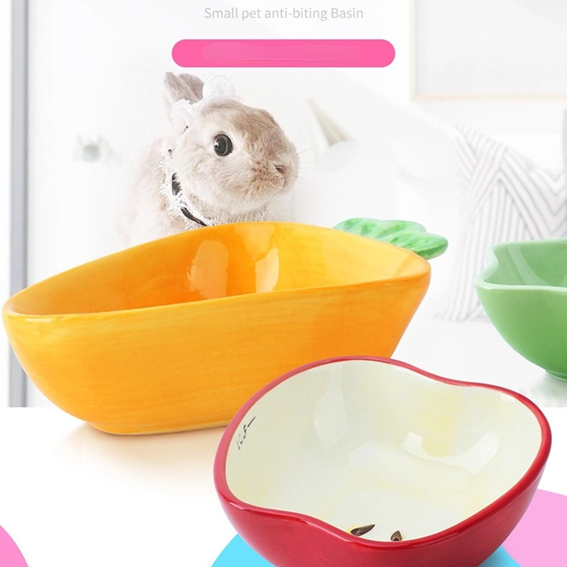 Bol d'alimentation pour Hamste - Pet Supplies Is Food avis et prix
