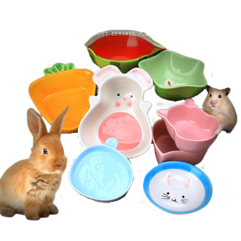 Bol d'alimentation pour Hamste - Pet Supplies Is Food avis et prix