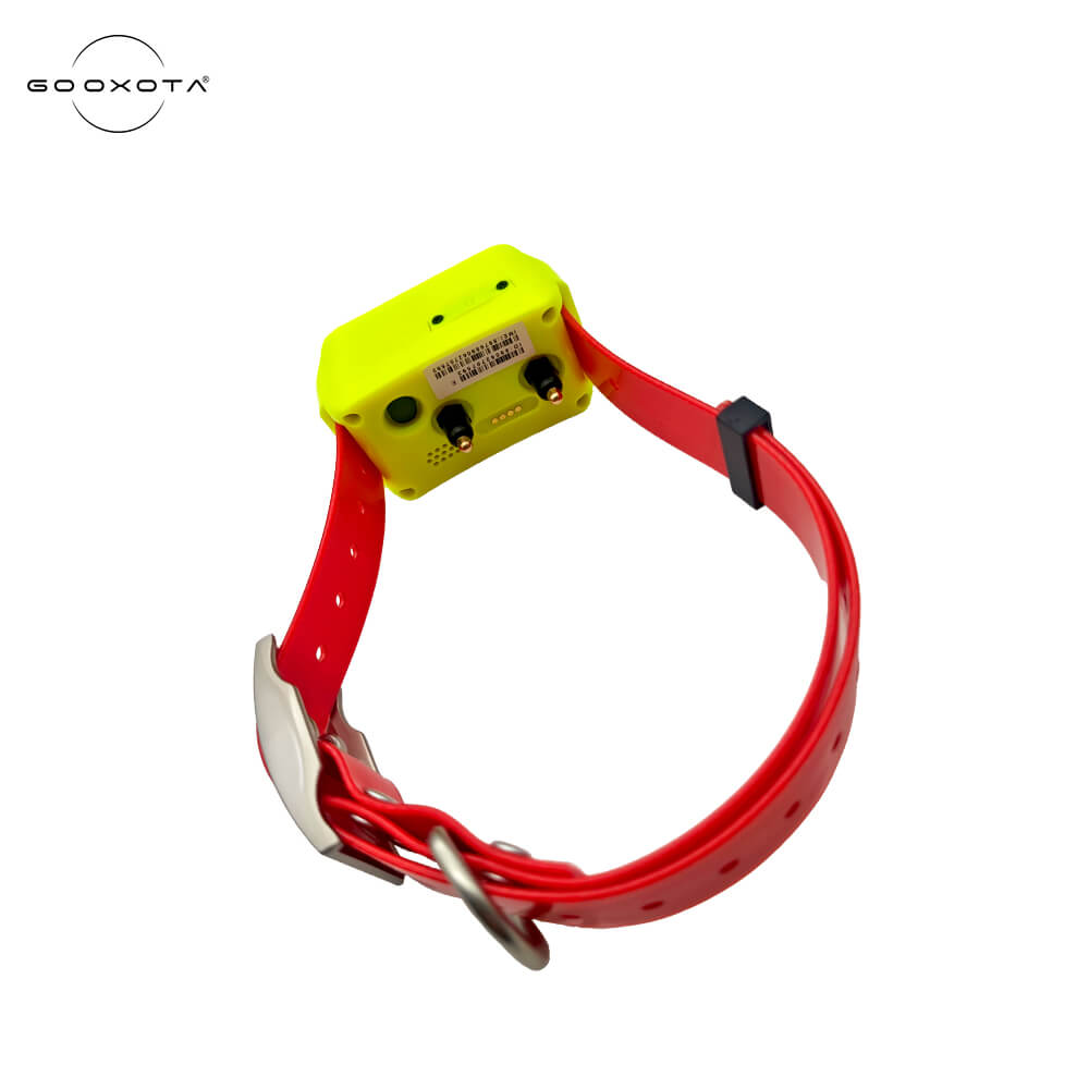 Collier GPS 4G pour chien, éta - Pet Gps Tracker Collar avis et prix