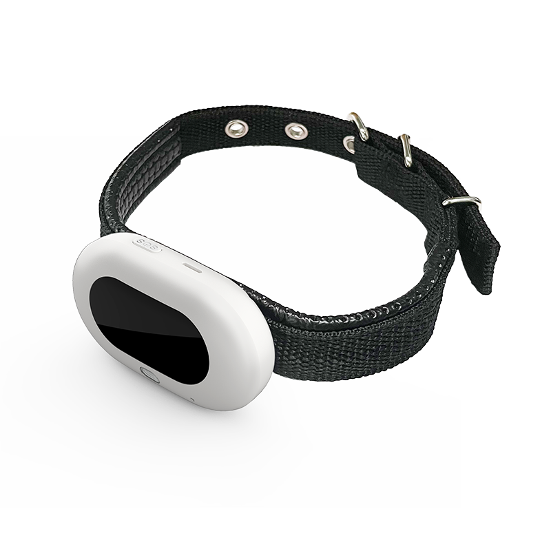 Collier de suivi GPS pour anim - Pet Gps Tracker Collar avis et prix
