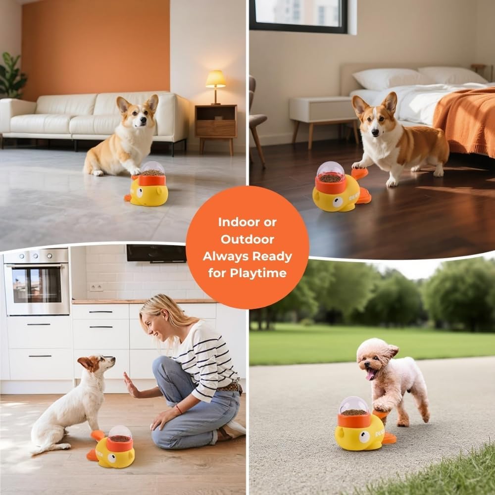 Distributeur de friandises pou - Slow Feeder Dog Bowl avis et prix