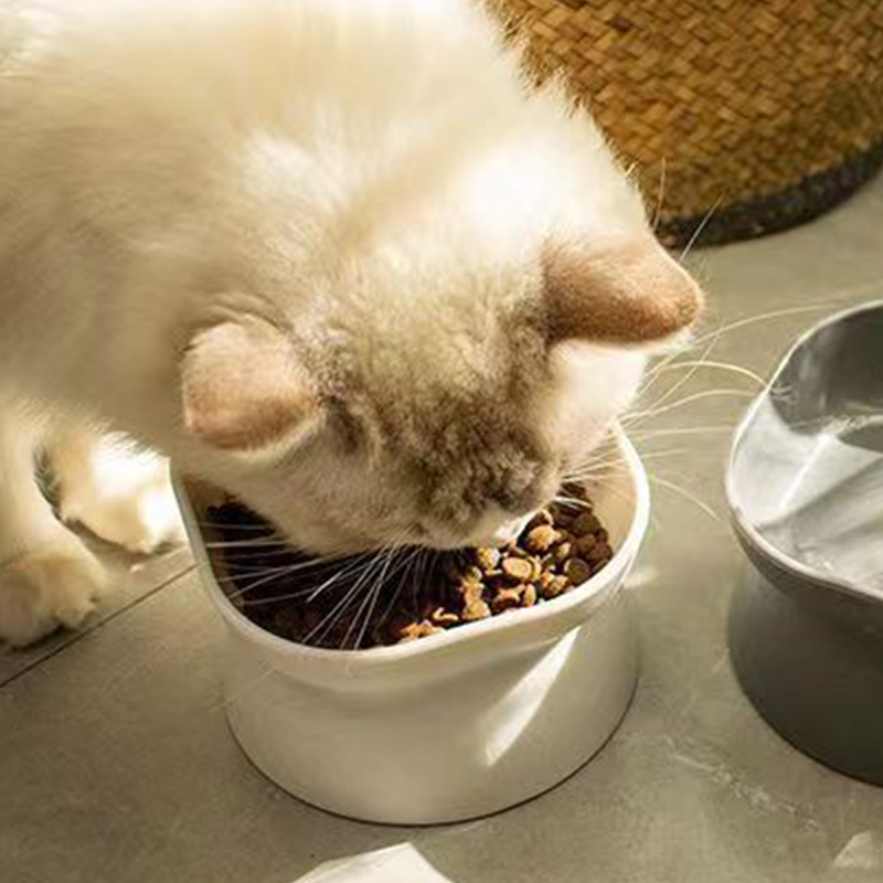 Bol de nourriture pour chat/ch - Slow Feeder Dog Bowl avis et prix