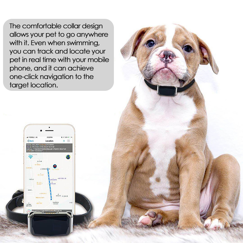 Traceur GPS pour animaux de co - Pet Gps Tracker Collar avis et prix