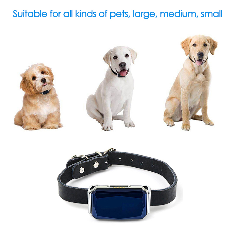 Traceur GPS pour animaux de co - Pet Gps Tracker Collar avis et prix