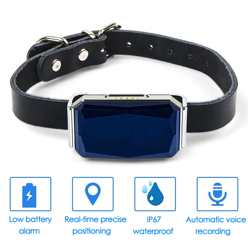 Traceur GPS pour animaux de co - Pet Gps Tracker Collar avis et prix
