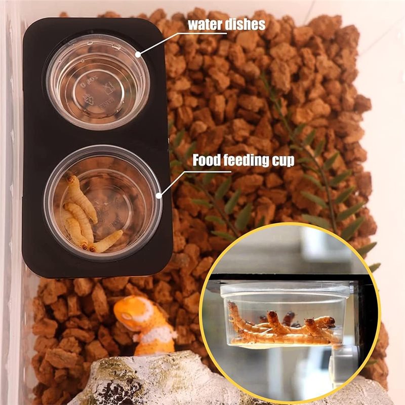 Gobelets d'alimentation et d'e - Pet Supplies Is Food avis et prix