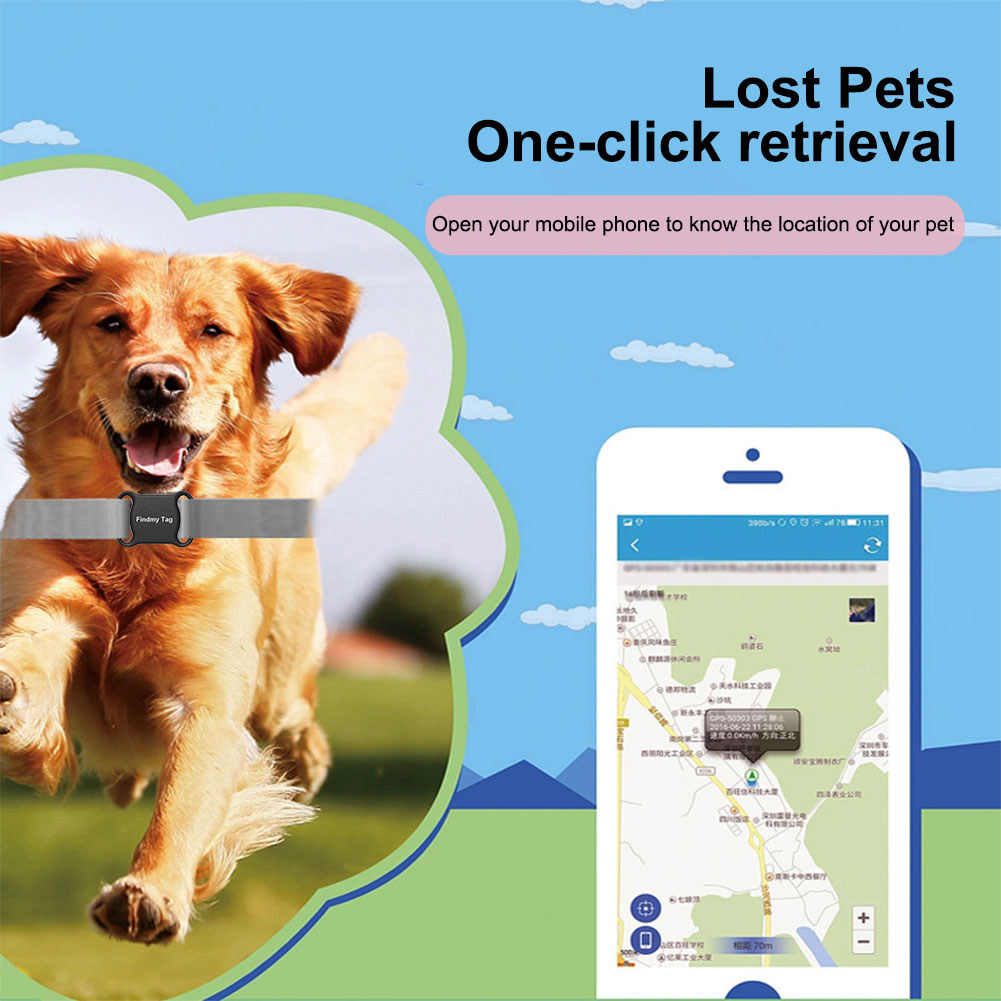 Traceur GPS anti-perte, locali - Pet Gps Tracker Collar avis et prix