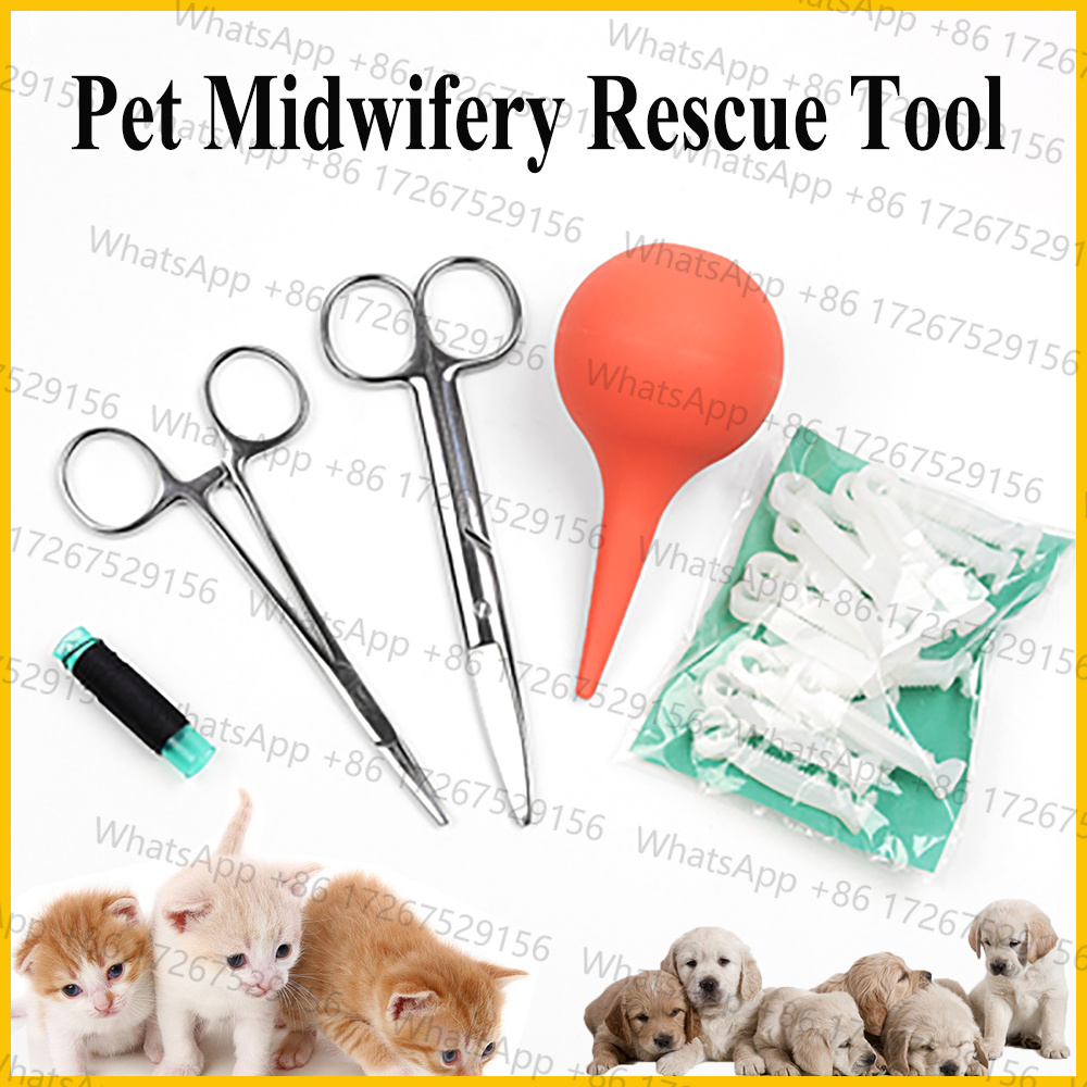 Applicable à 1SET Aspirateur d - Pet Supplies Application avis et prix
