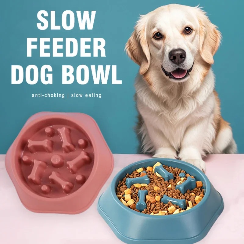 1 pièce Gamelle anti-étouffeme - Slow Feeder Dog Bowl avis et prix